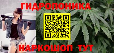 Альфа ПВП Краснознаменск