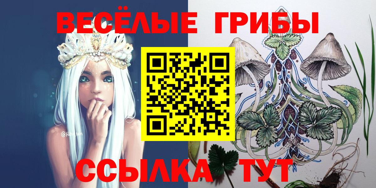 Кимры  Псилоцибиновые грибы GOLDEN TEACHER  Вход с VPN  Псилоцибиновые грибы GOLDEN TEACHER 