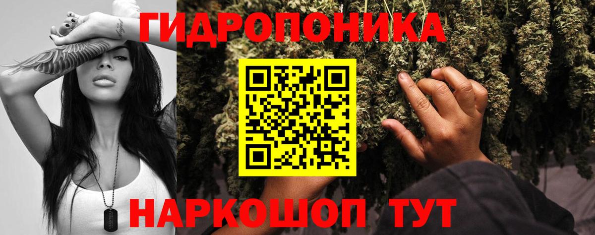 Кимры  Канабис AK-47  МАРИХУАНА марихуана  Марихуана план  Вход с VPN  Каннабис планчик 